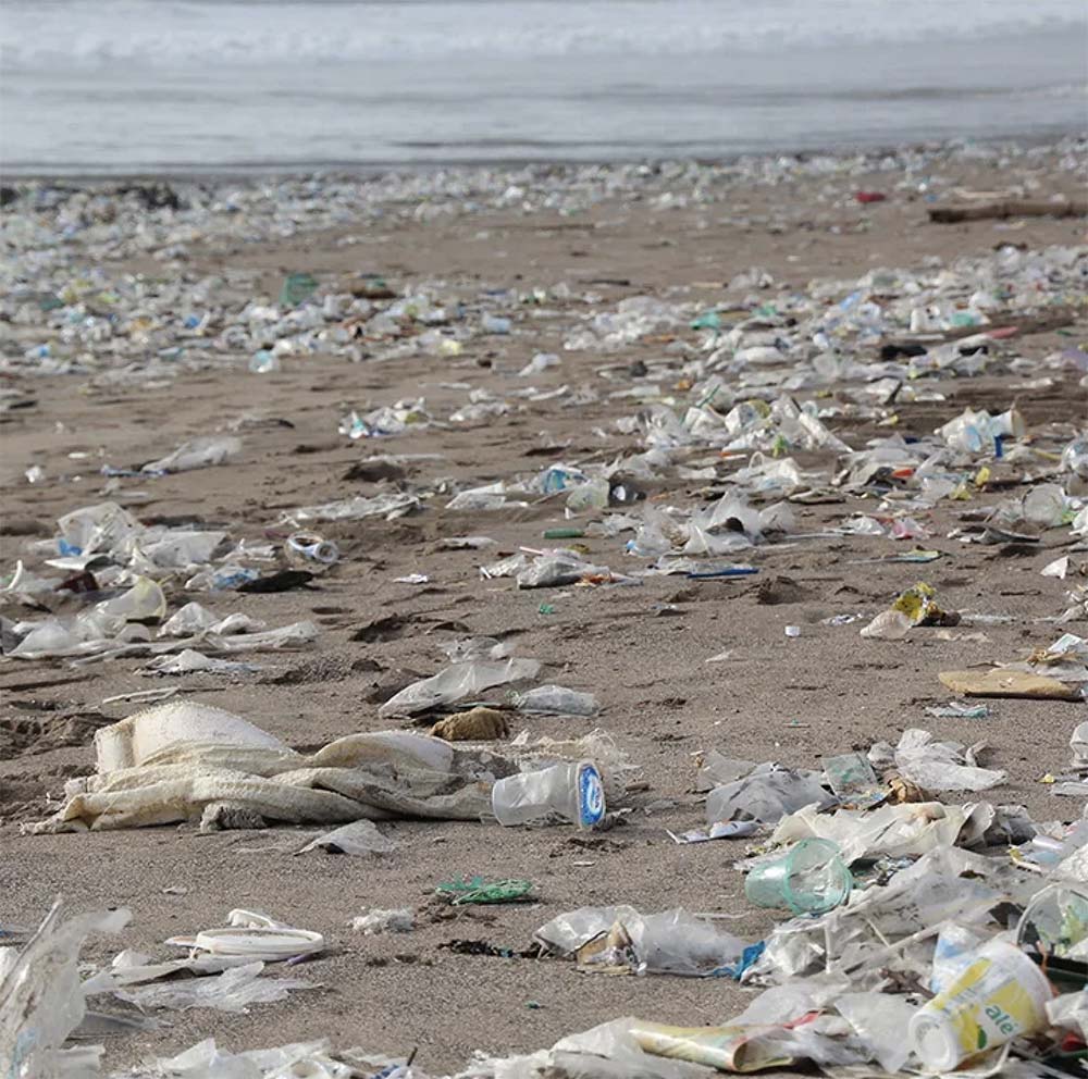 Qu Es La Contaminaci N Pl Stica Foro Para La Conservaci N Del Mar