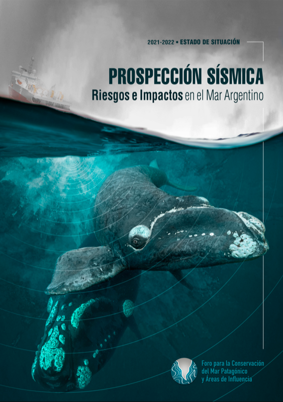 Prospección Sísmica. Riesgos e impactos en el Mar Argentino